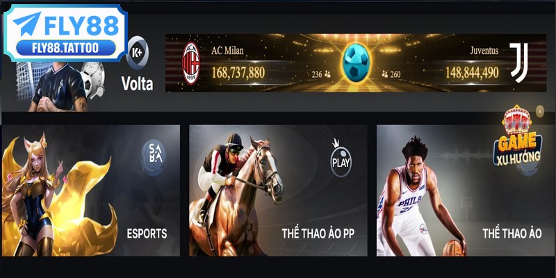 Dịch vụ hỗ trợ khách hàng chuyên nghiệp hàng ngày là điểm nhấn