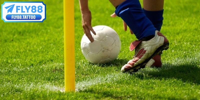 Tham khảo xu hướng đặt cược của cộng đồng trước đặt kèo