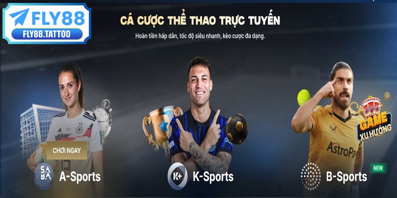 Thể thao là không gian giải trí cá độ hàng đầu cho người hâm mộ
